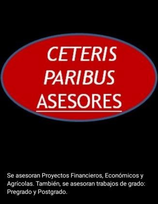 Ceteris Paribus Asesores Académicos y de Negocios